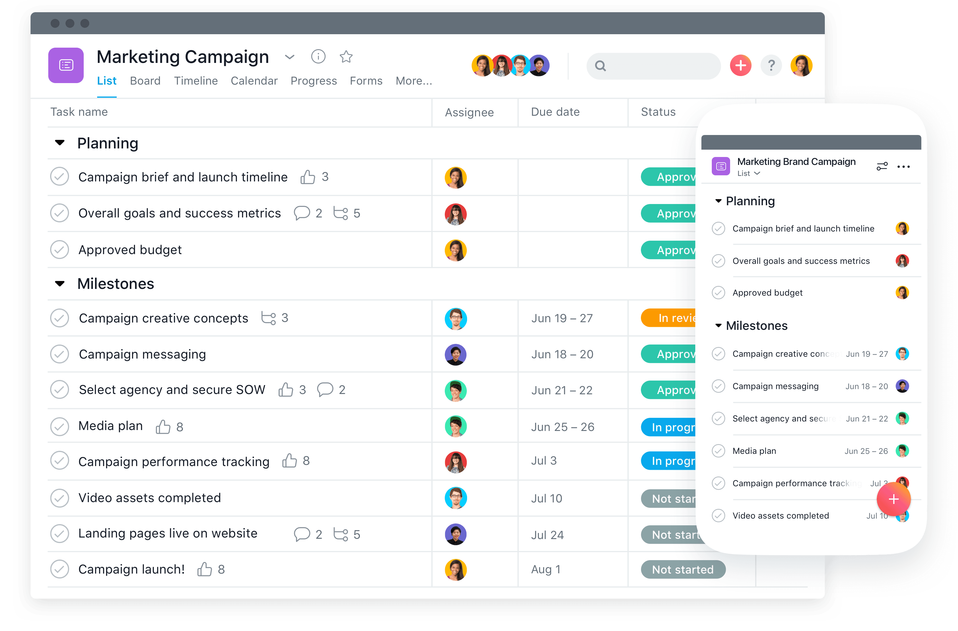 Asana Overview